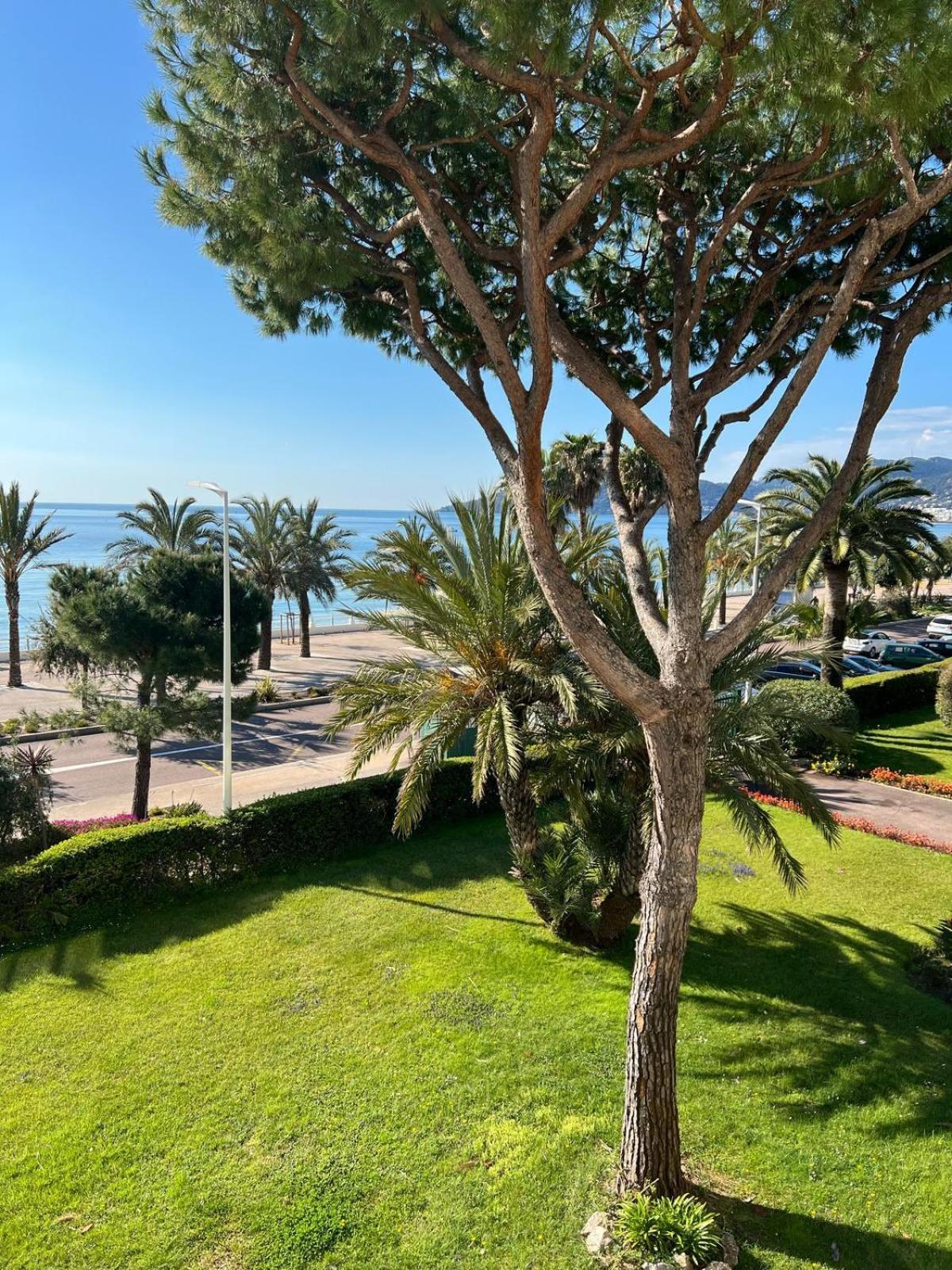 Cnossos Yourhosthelper Cannes Exteriér fotografie